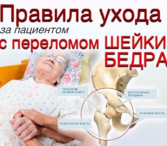 Описание изображения